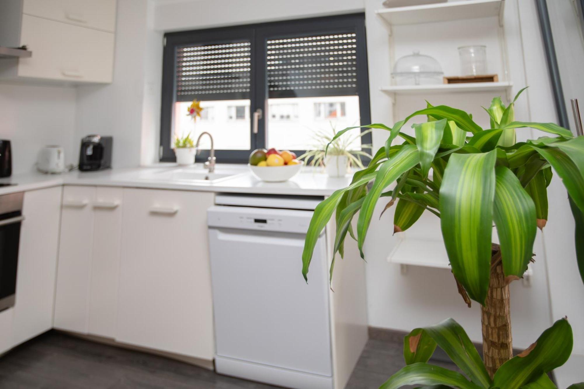 Appartement Moderne Au Centre Ville Strasburg Zewnętrze zdjęcie